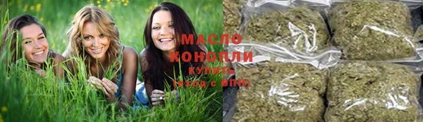 PSILOCYBIN Вяземский